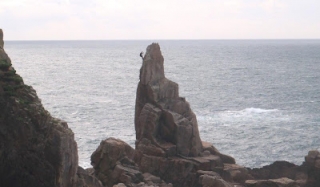  Encuentra al escalador 